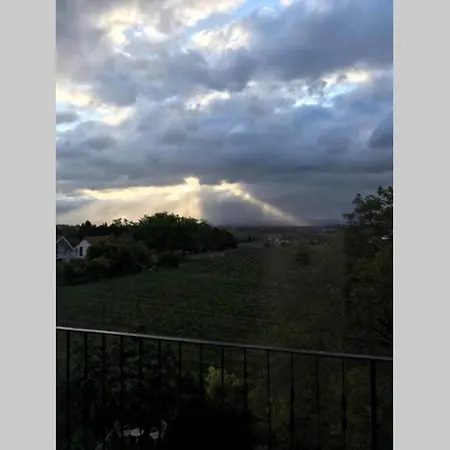 Wunderschoene Wohnung Mit Blick Auf Die Weinberge Neustadt an der Weinstraße Zewnętrze zdjęcie