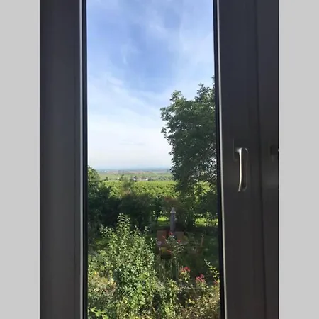 Wunderschoene Wohnung Mit Blick Auf Die Weinberge Neustadt an der Weinstraße Zewnętrze zdjęcie