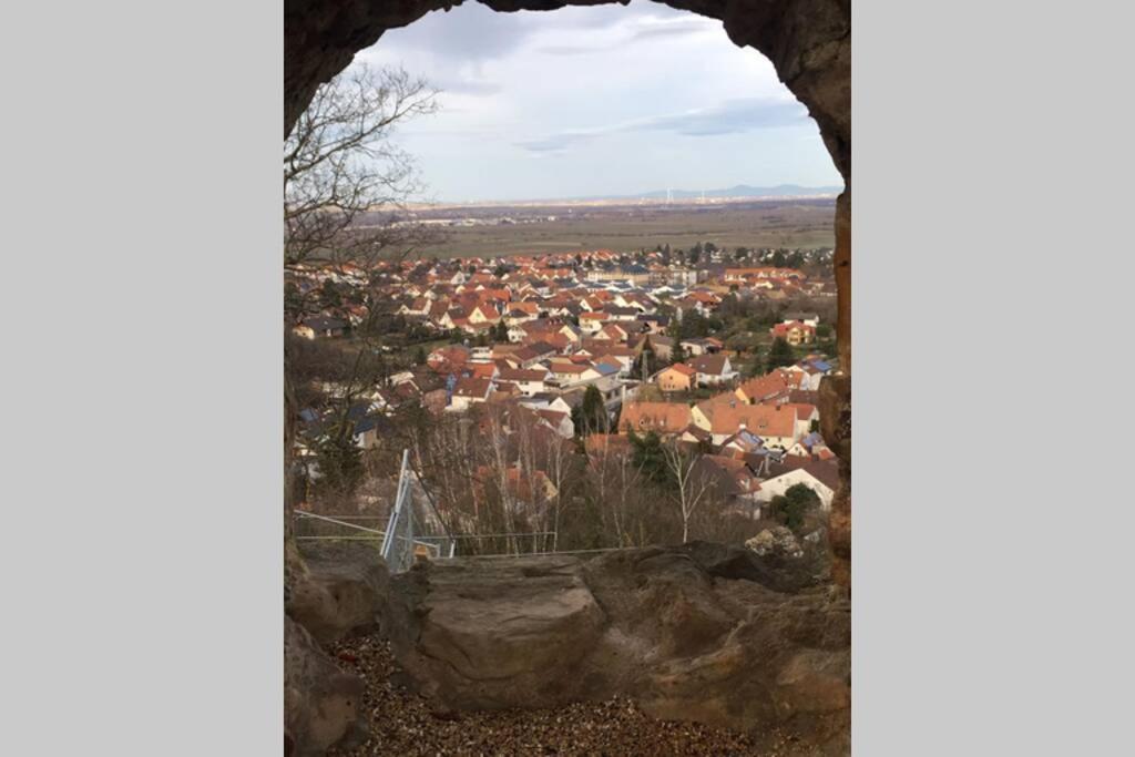 Wunderschoene Mit Blick Auf Weinberge Apartment Neustadt an der Weinstrasse