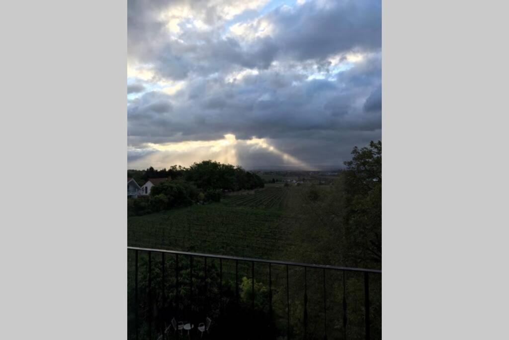 Wunderschoene Mit Blick Auf Weinberge Apartment