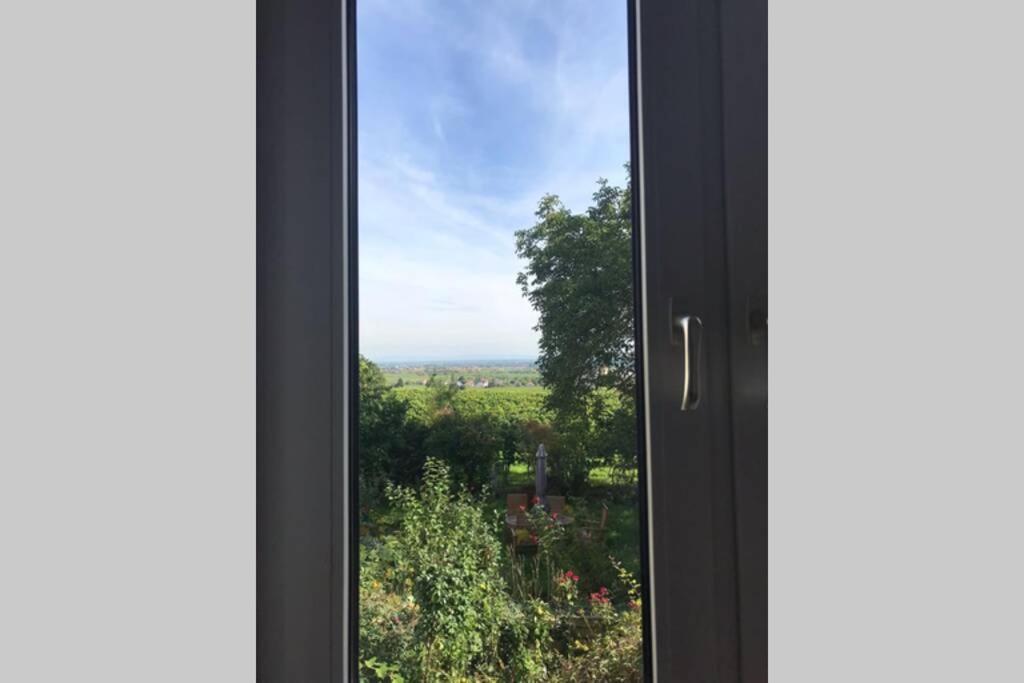 Wunderschoene Mit Blick Auf Weinberge * Neustadt an der Weinstrasse